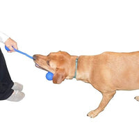3 Ball Dog Toy - Your Puppy, Small Or Large Dog Will Love It. - 100% Non-Toxic Chew Dog Toy - Best for The Aggressive Dog Chewers - Durable and Tough