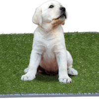 Dog Potty with Artificial Grass-Reusable 3-Layer Synthetic Training Tray That Acts Like a Dog Litterbox-Fake Grass That Dogs Prefer Over Dog Pee Pads or Puppy Pad