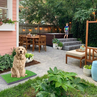 Dog Potty with Artificial Grass-Reusable 3-Layer Synthetic Training Tray That Acts Like a Dog Litterbox-Fake Grass That Dogs Prefer Over Dog Pee Pads or Puppy Pad