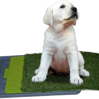 Dog Potty with Artificial Grass-Reusable 3-Layer Synthetic Training Tray That Acts Like a Dog Litterbox-Fake Grass That Dogs Prefer Over Dog Pee Pads or Puppy Pad
