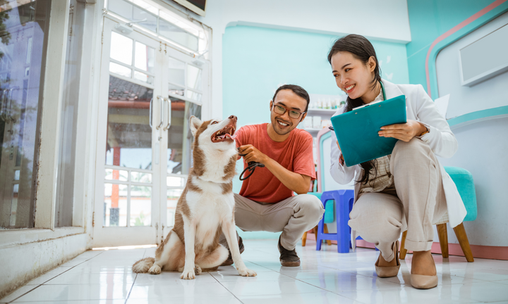 The Ultimate Guide to Dog Health and Care: Keeping Your Best Friend Happy and Healthy