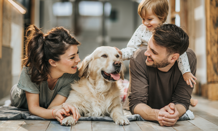 Understanding Dog Behavior and Training: A Guide for Every Dog Owner