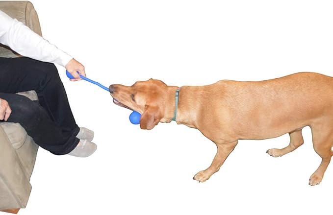 3 Ball Dog Toy - Your Puppy, Small Or Large Dog Will Love It. - 100% Non-Toxic Chew Dog Toy - Best for The Aggressive Dog Chewers - Durable and Tough