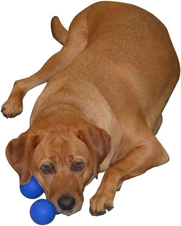 3 Ball Dog Toy - Your Puppy, Small Or Large Dog Will Love It. - 100% Non-Toxic Chew Dog Toy - Best for The Aggressive Dog Chewers - Durable and Tough