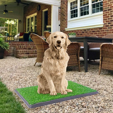 Dog Potty with Artificial Grass-Reusable 3-Layer Synthetic Training Tray That Acts Like a Dog Litterbox-Fake Grass That Dogs Prefer Over Dog Pee Pads or Puppy Pad
