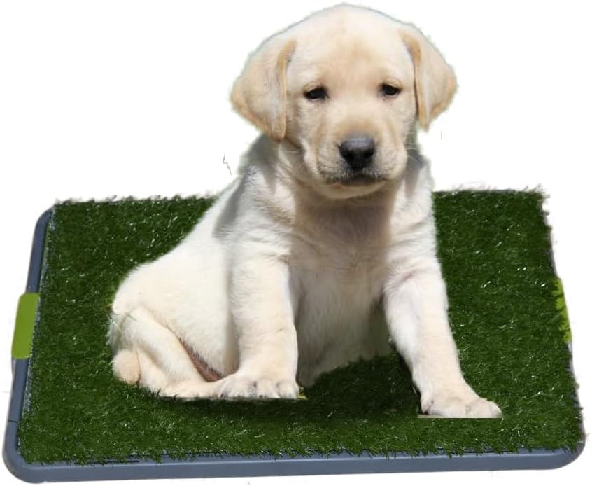 Dog Potty with Artificial Grass-Reusable 3-Layer Synthetic Training Tray That Acts Like a Dog Litterbox-Fake Grass That Dogs Prefer Over Dog Pee Pads or Puppy Pad