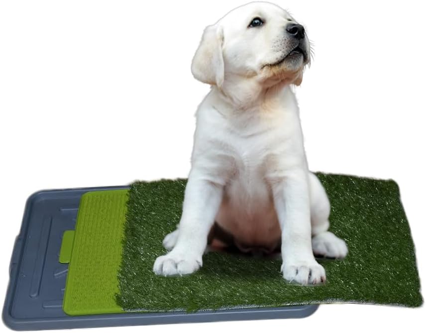 Dog Potty with Artificial Grass-Reusable 3-Layer Synthetic Training Tray That Acts Like a Dog Litterbox-Fake Grass That Dogs Prefer Over Dog Pee Pads or Puppy Pad