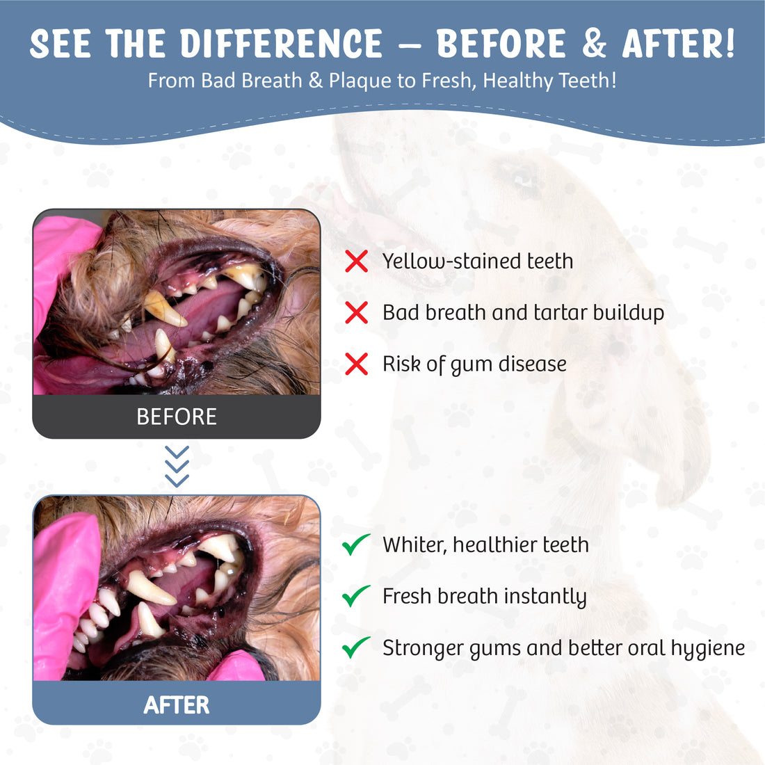 Dog Dental Spray Removes Tartar, Plaque and Freshens Breath Instantly. The Most Advanced Dental Spray for Healthy Teeth, Gums and Oral Health Care for Your Dog, Cat or Pet - 1-8 oz. bottle