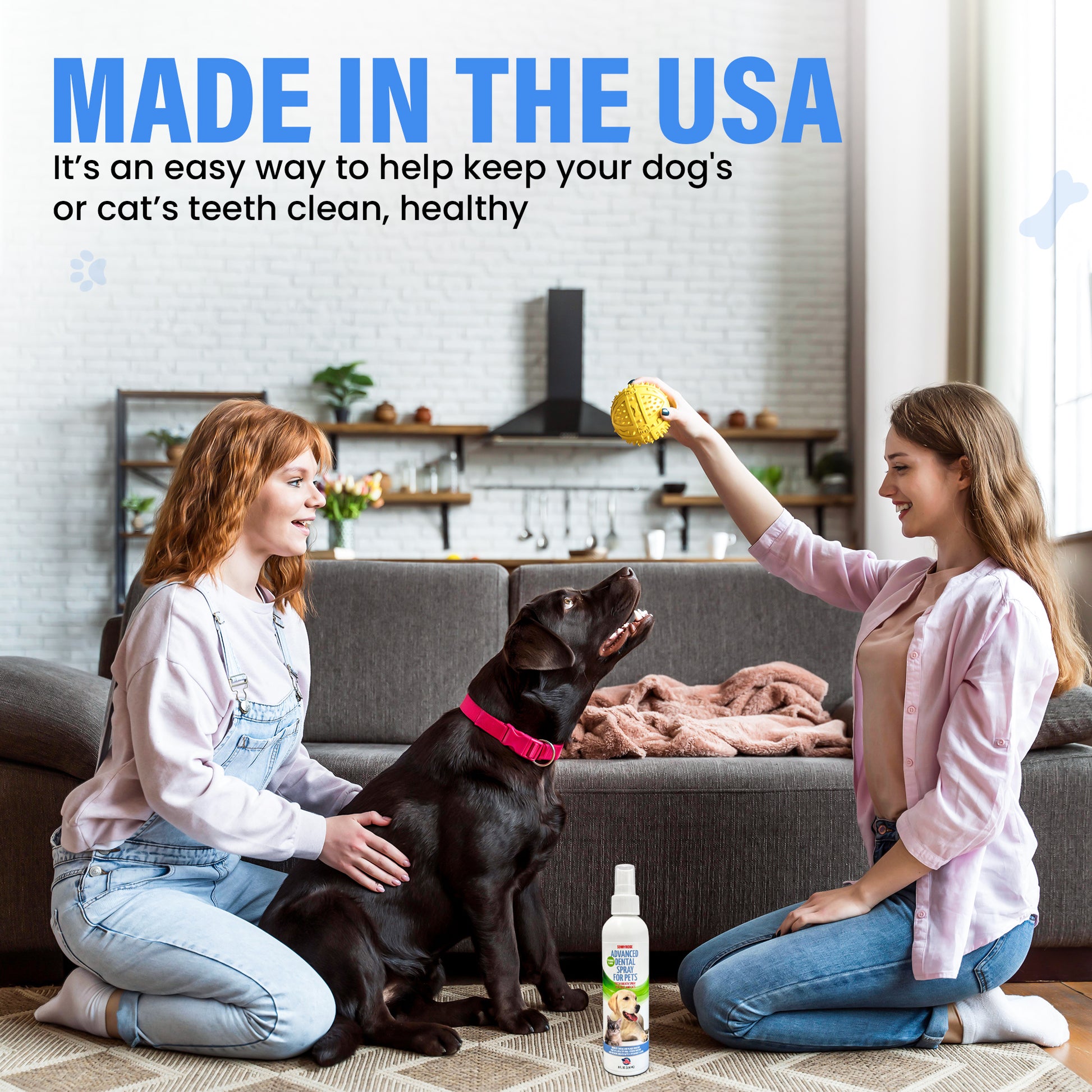 Dog dental spray made in USA for healthy teeth and gums
