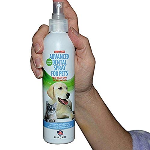 Advanced Pet Dental Spray